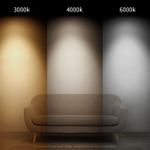 image-fa99c8ff00904ae0ad2bded7d14330ef