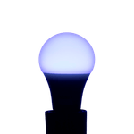 image-cc7f2910806d451b85a078be876fc313