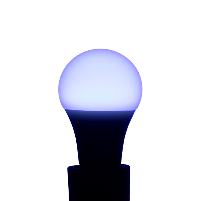 image-cc7f2910806d451b85a078be876fc313
