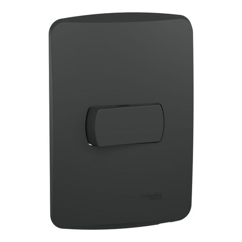Conj Emb Miluz C/Placa Horizontal Int. Simples 10A 250V S3B62011 Grafite - Schneider