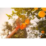 image-2cc19616d138434aadb8a11ef1e1954f